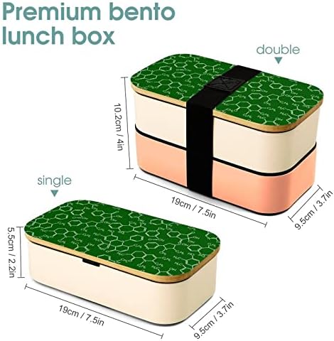 Chemistry Science Bento Bento קופסת אוכל דליפה בנטו קופסת מזון עם 2 תאים לפיקניק עבודה מחוץ